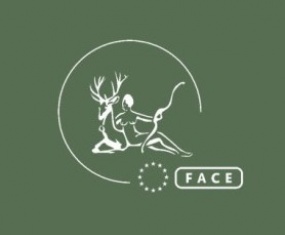 face_logo_white_on_green_graphic