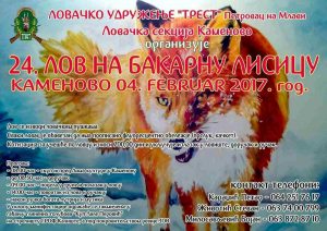 Bakarna lisica, Petrovac na Mlavi_o